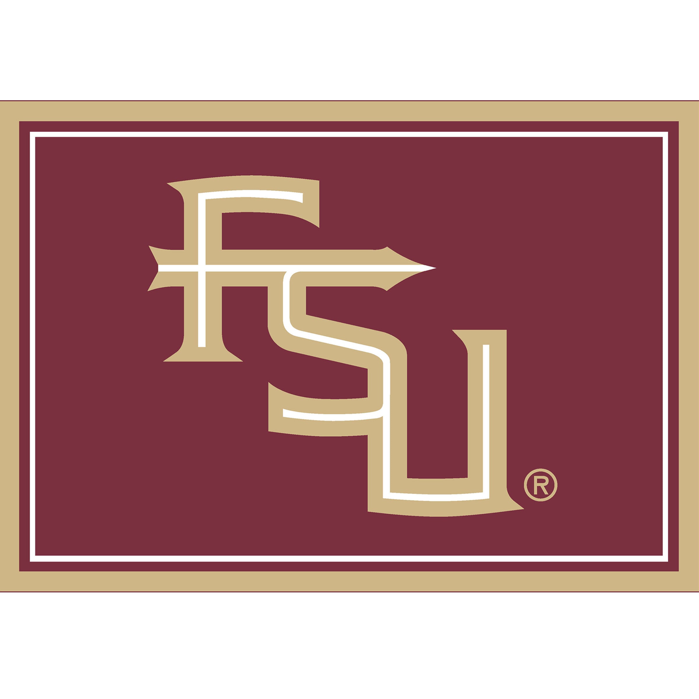 Florida State 3x4 Area Rug