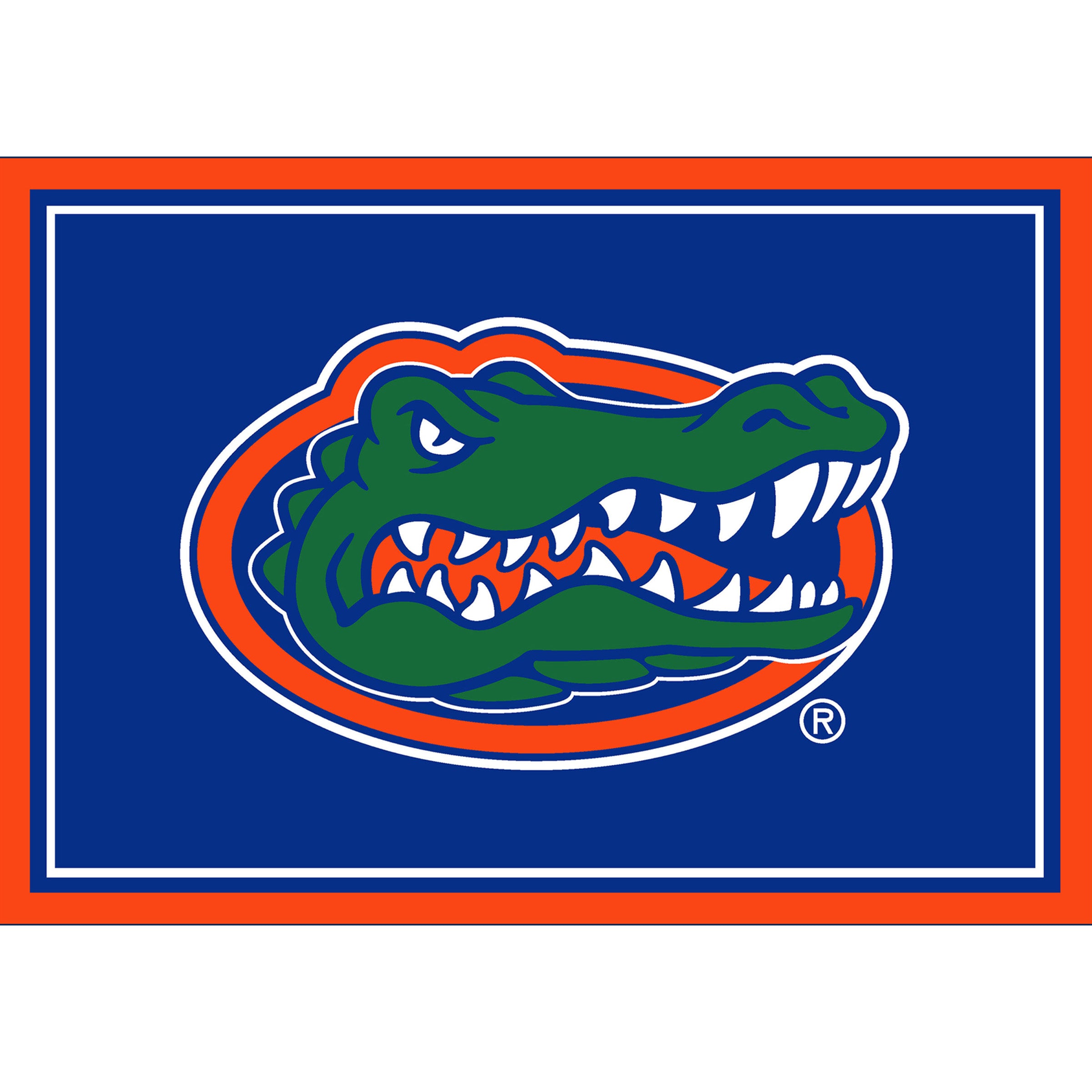 University Of Florida 3x4 Area Rug