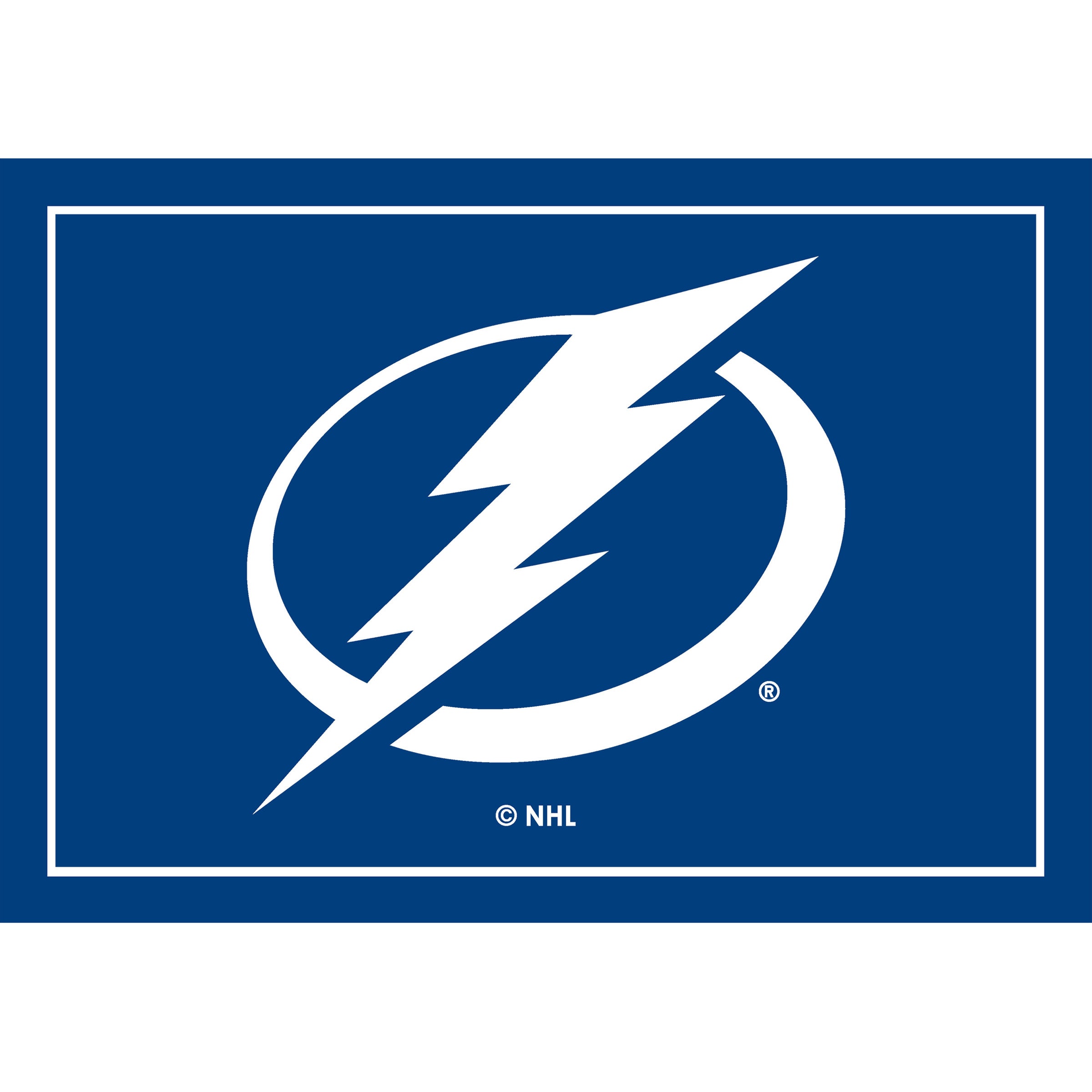 Tampa Bay Lightning 3x4 Area Rug