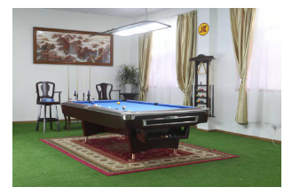 Braselton Pool Table