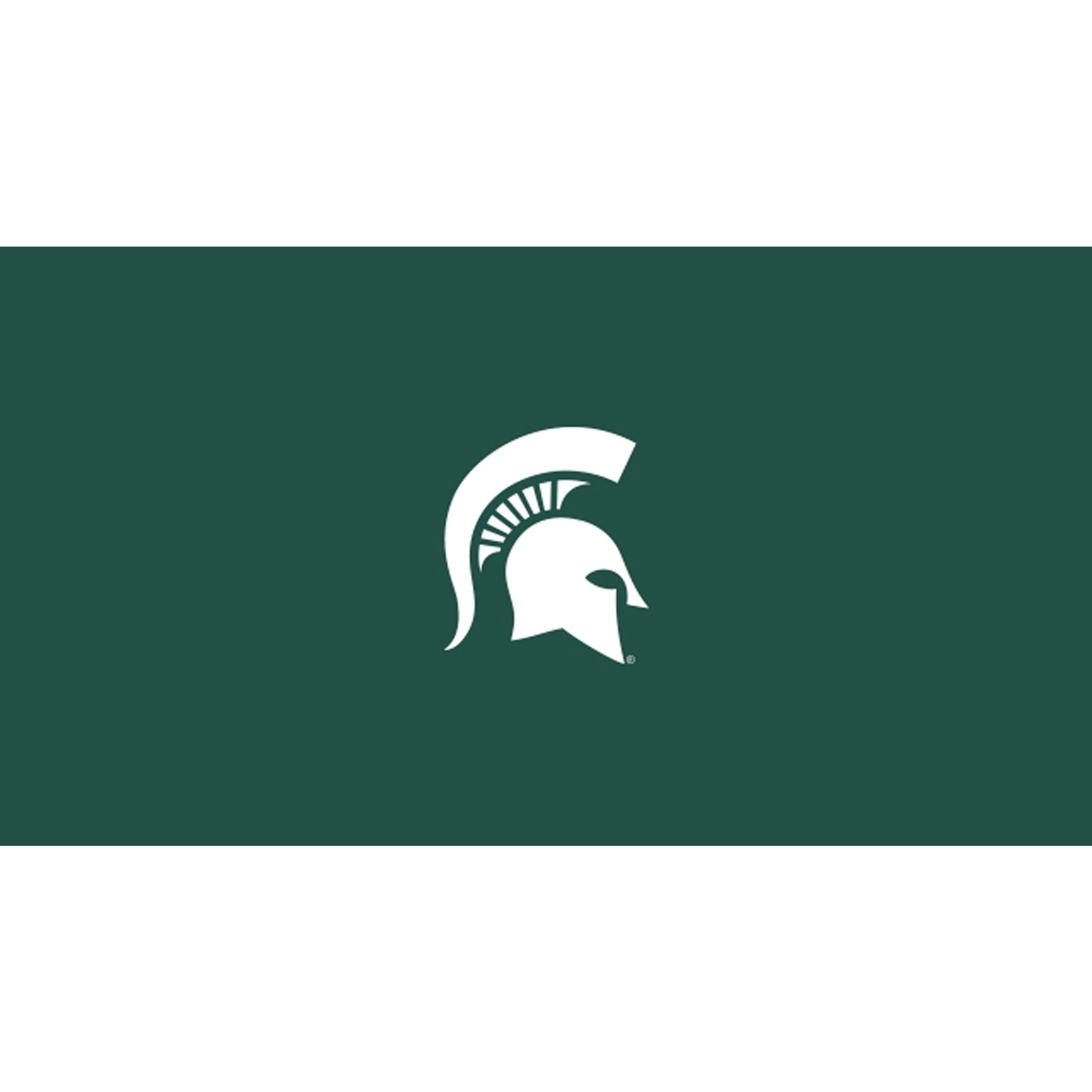 Michigan State 8' Pool Table Cloth