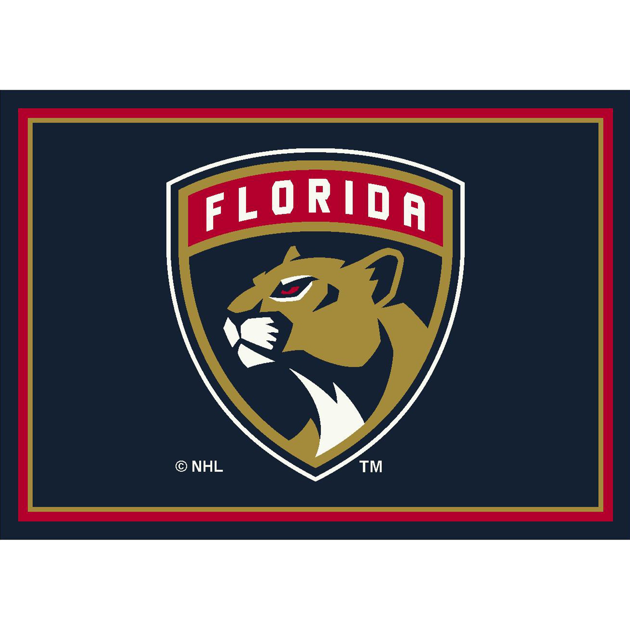 Florida Panthers 4x6 Spirit Rug