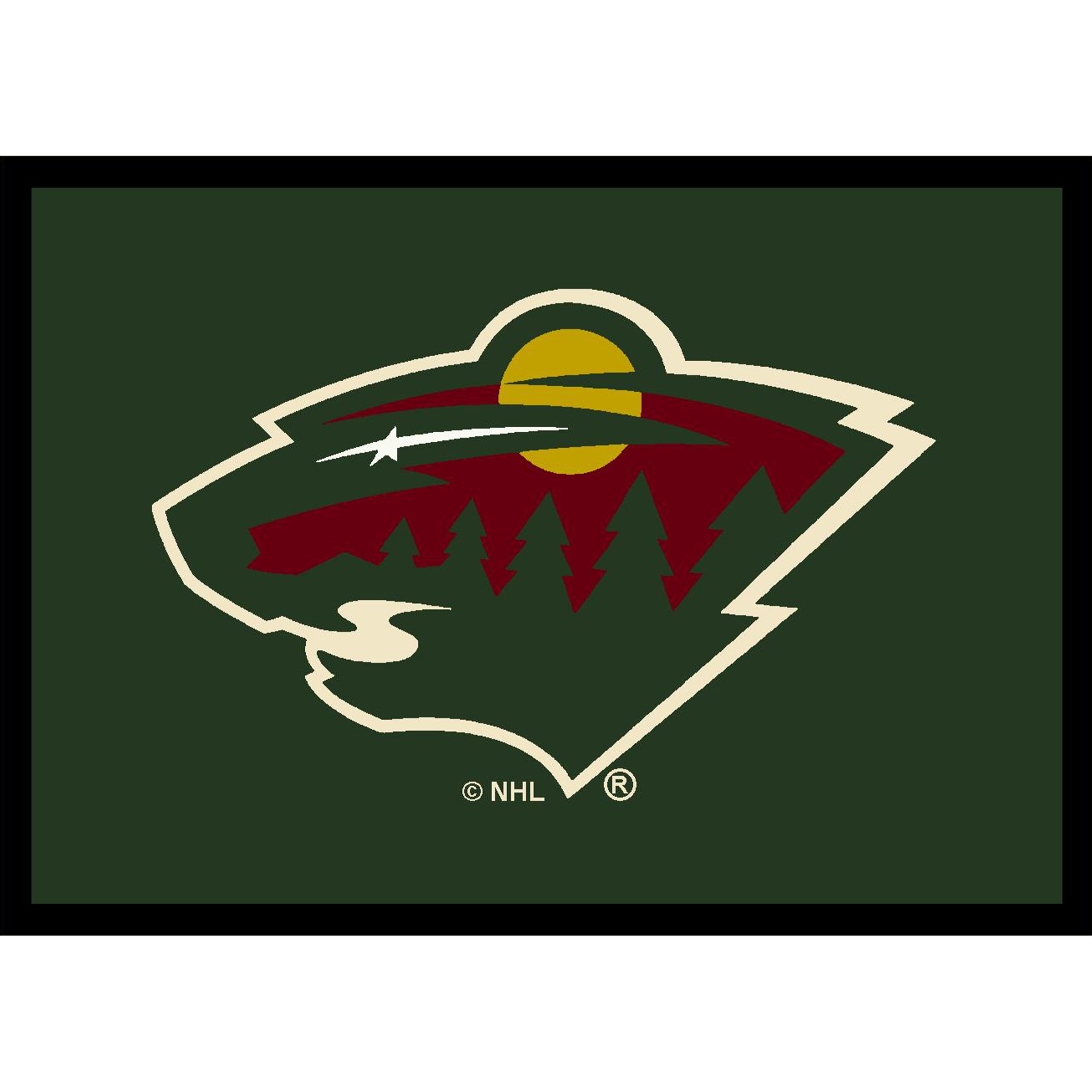 Minnesota Wild 4x6 Spirit Rug