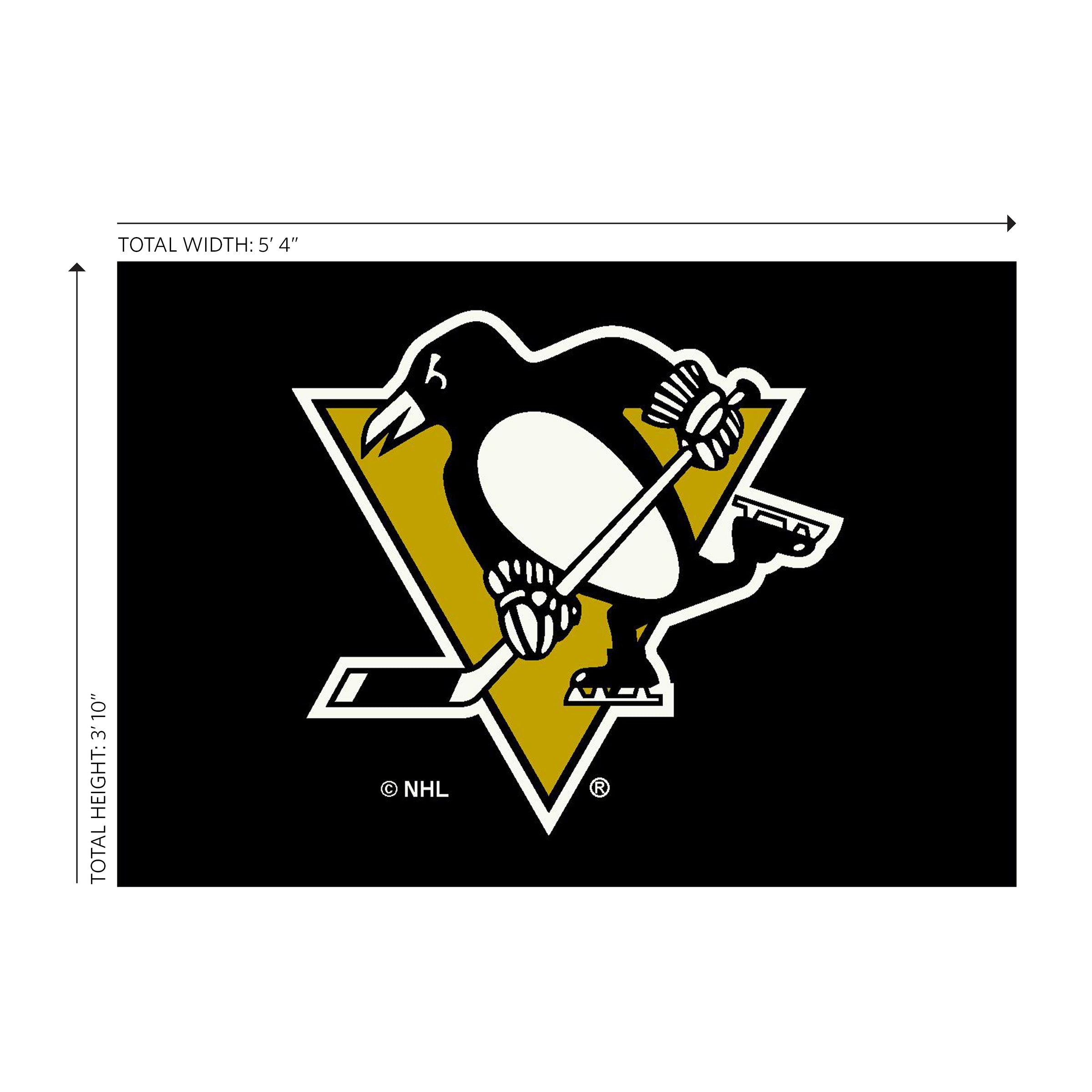 Pittsburgh Penguins 4x6 Spirit Rug