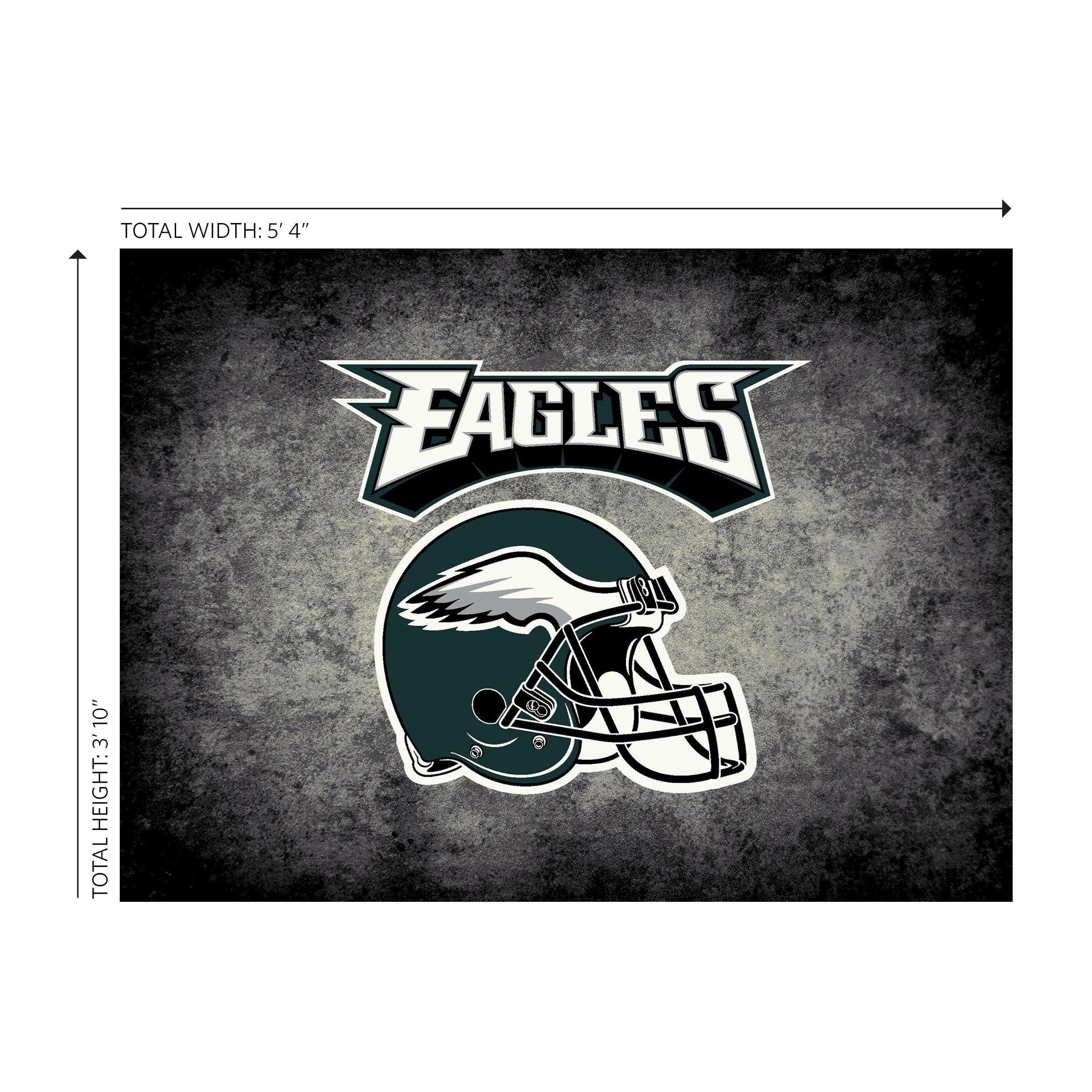 Philadelphia Eagles 4x6 Distressed Rug