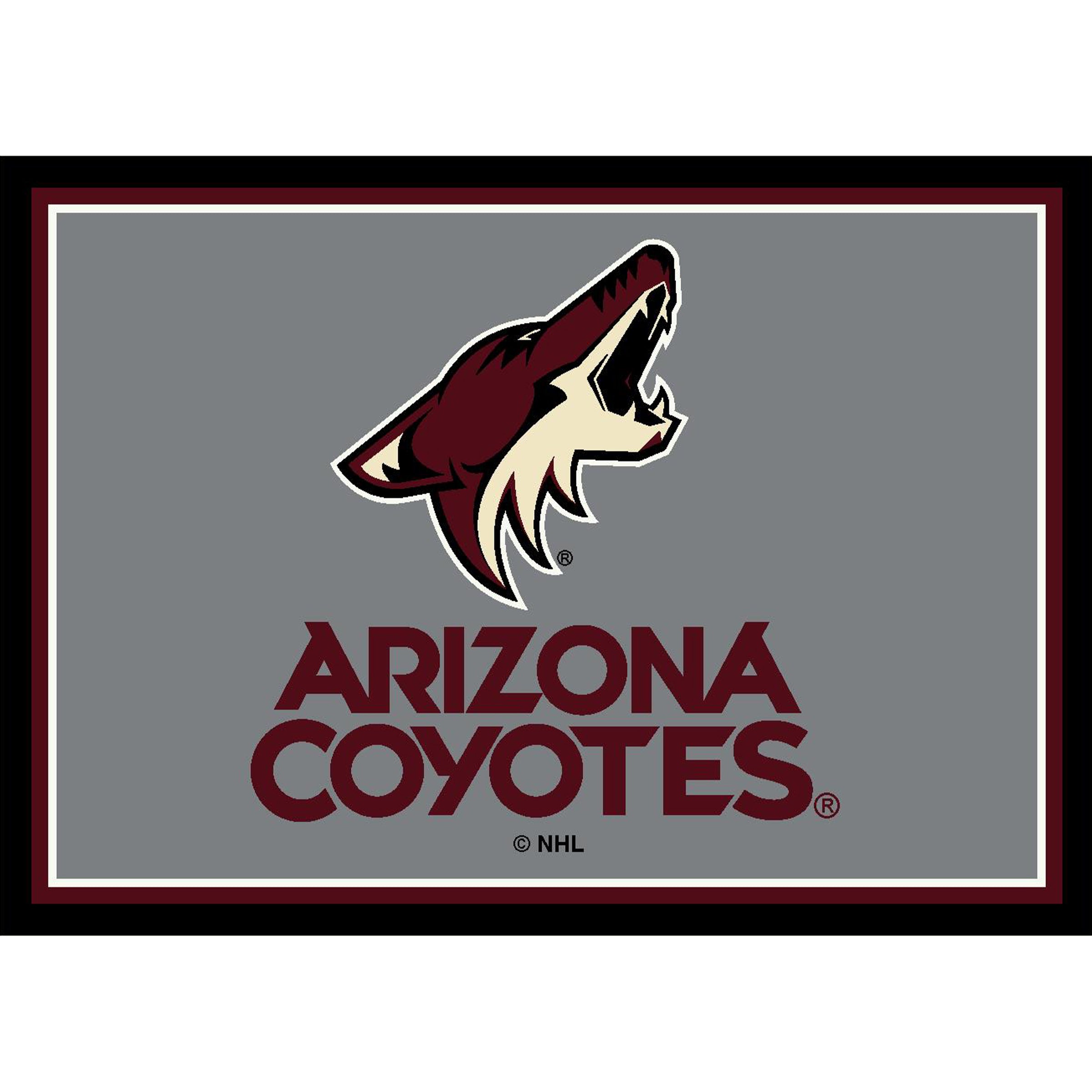 Arizona Coyotes 6x8 Spirit Rug