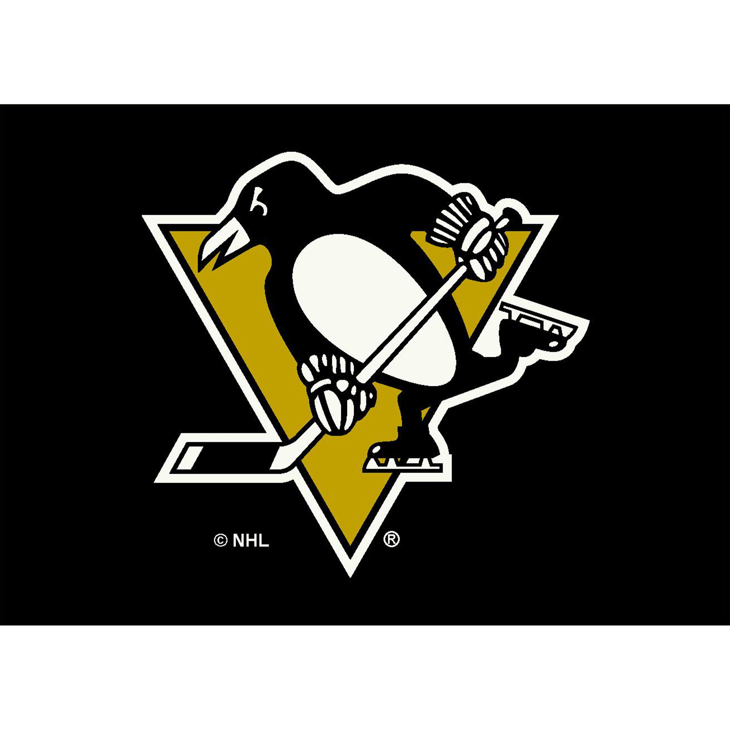 Pittsburgh Penguins 6x8 Spirit Rug