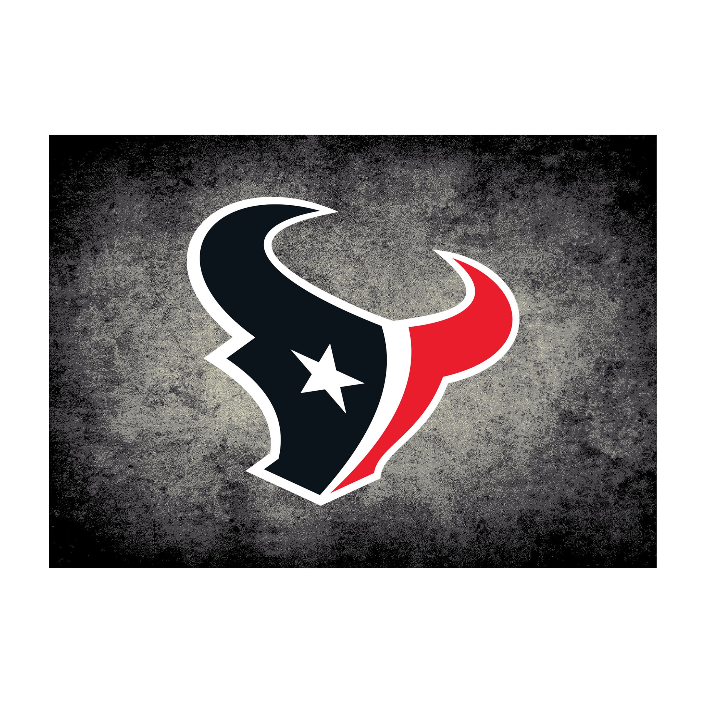 Houston Texans 6x8 Distressed Rug