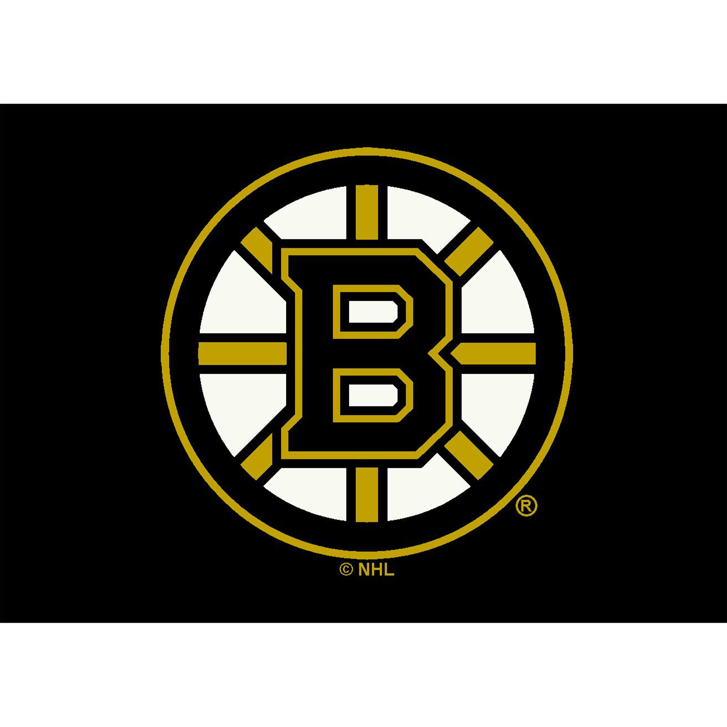 Boston Bruins 8x11 Spirit Rug