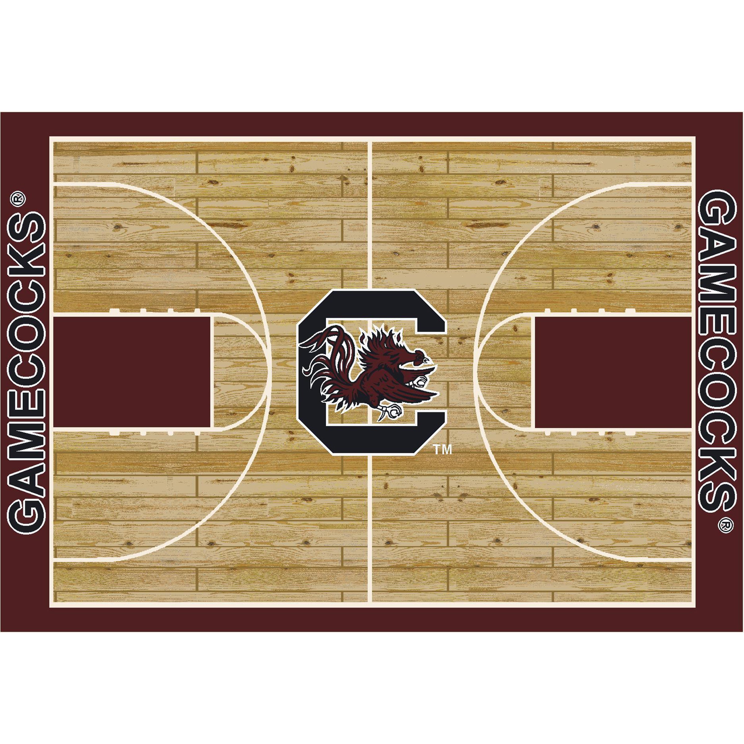 University Of South Carolina 4x6 Courtside Rug