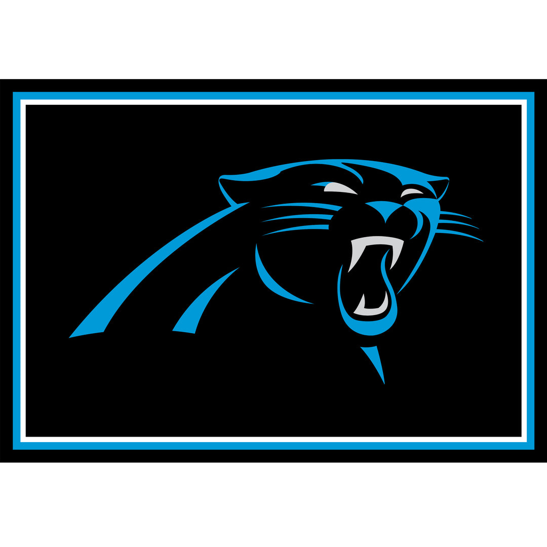 Carolina Panthers 3x4 Area Rug