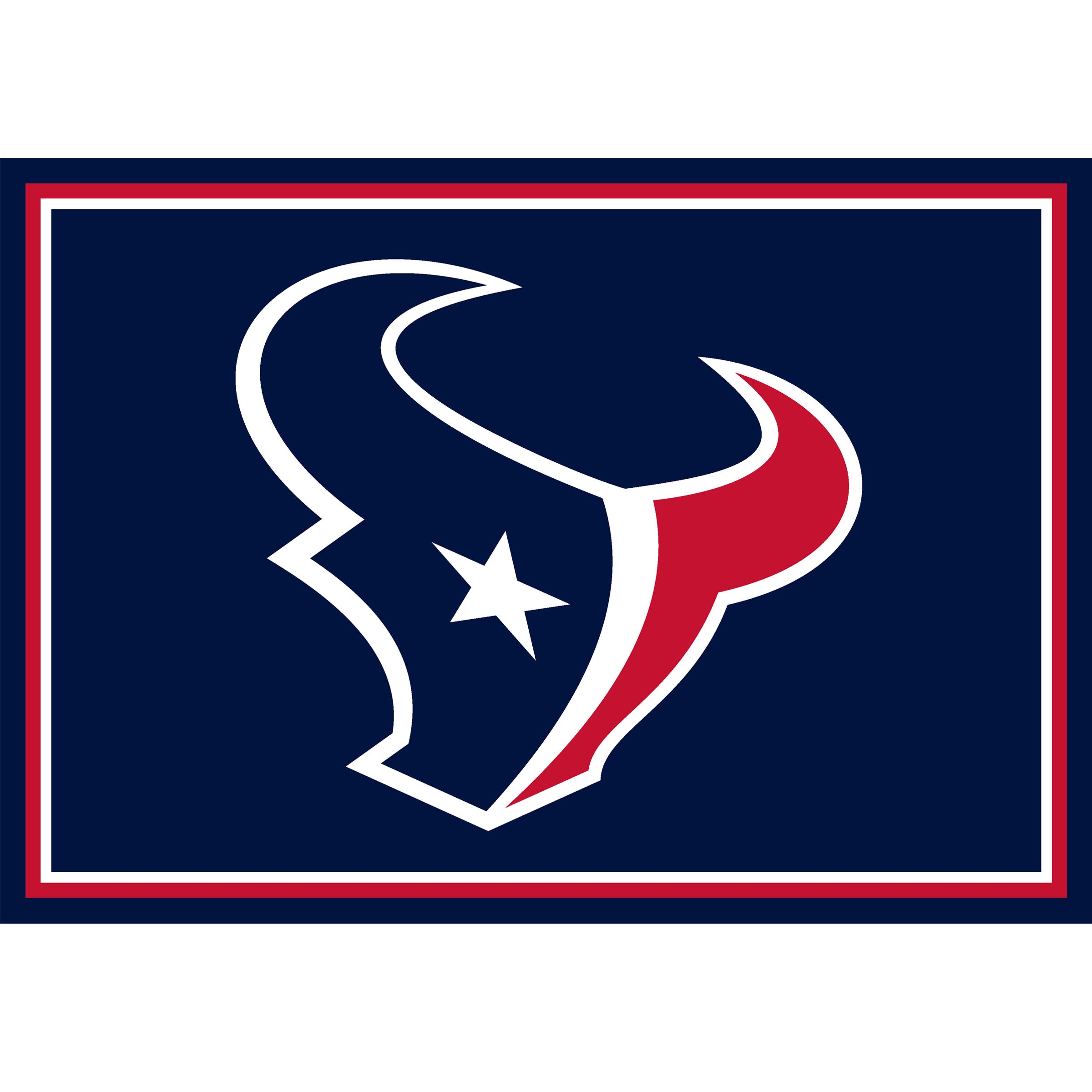 Houston Texans 3x4  Area  Rug