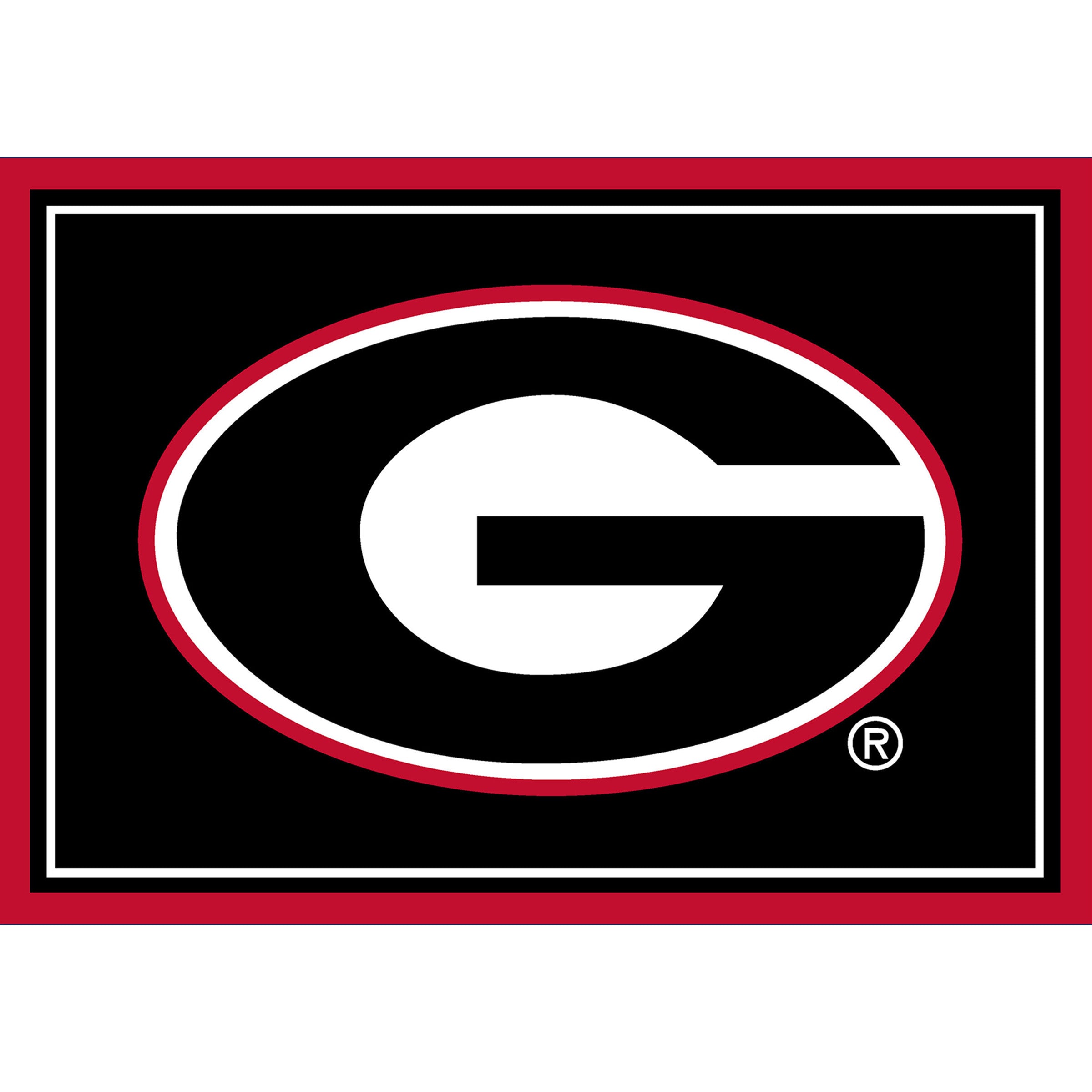 University Of Georgia 3x4  Area  Rug