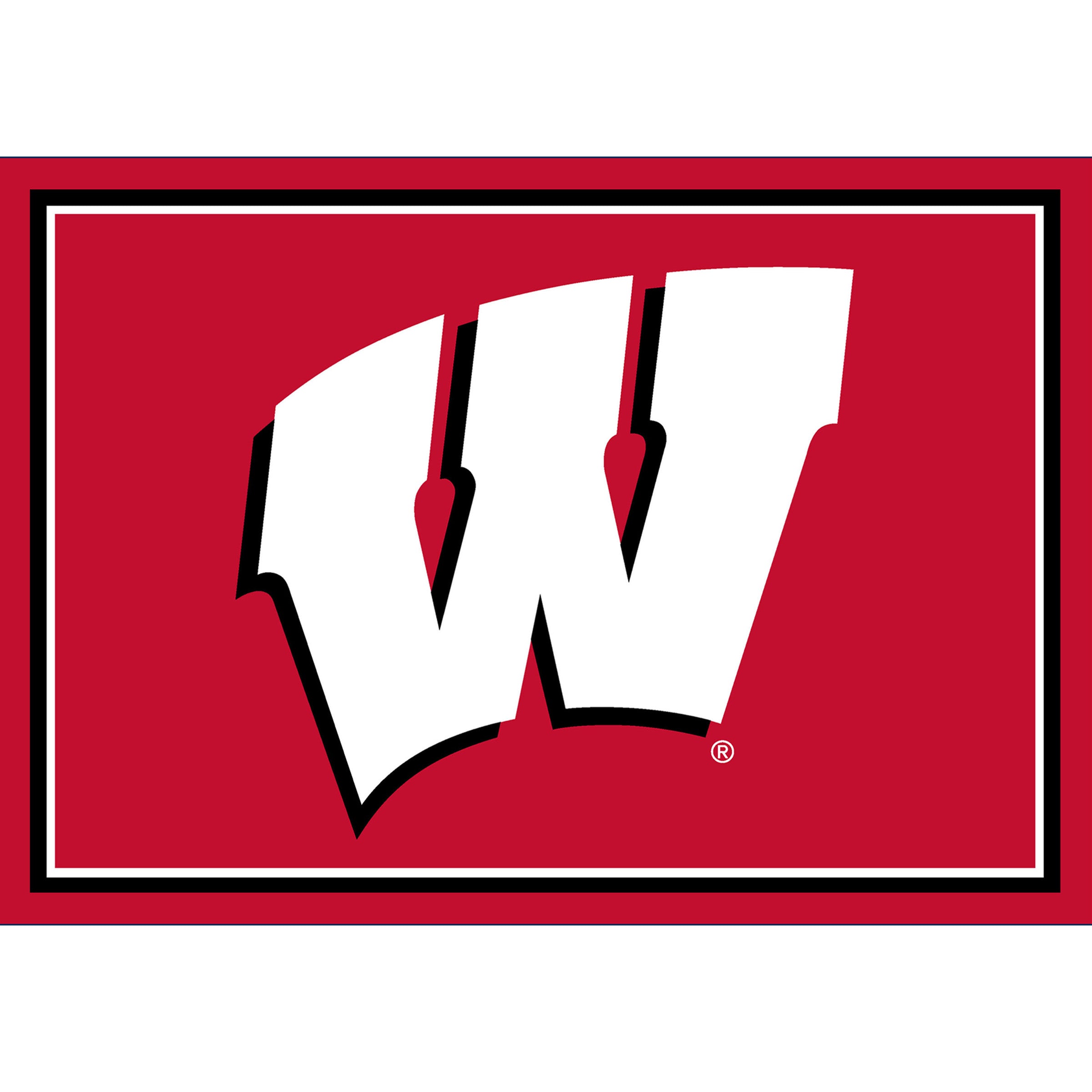 University Of Wisconsin 3x4  Area  Rug