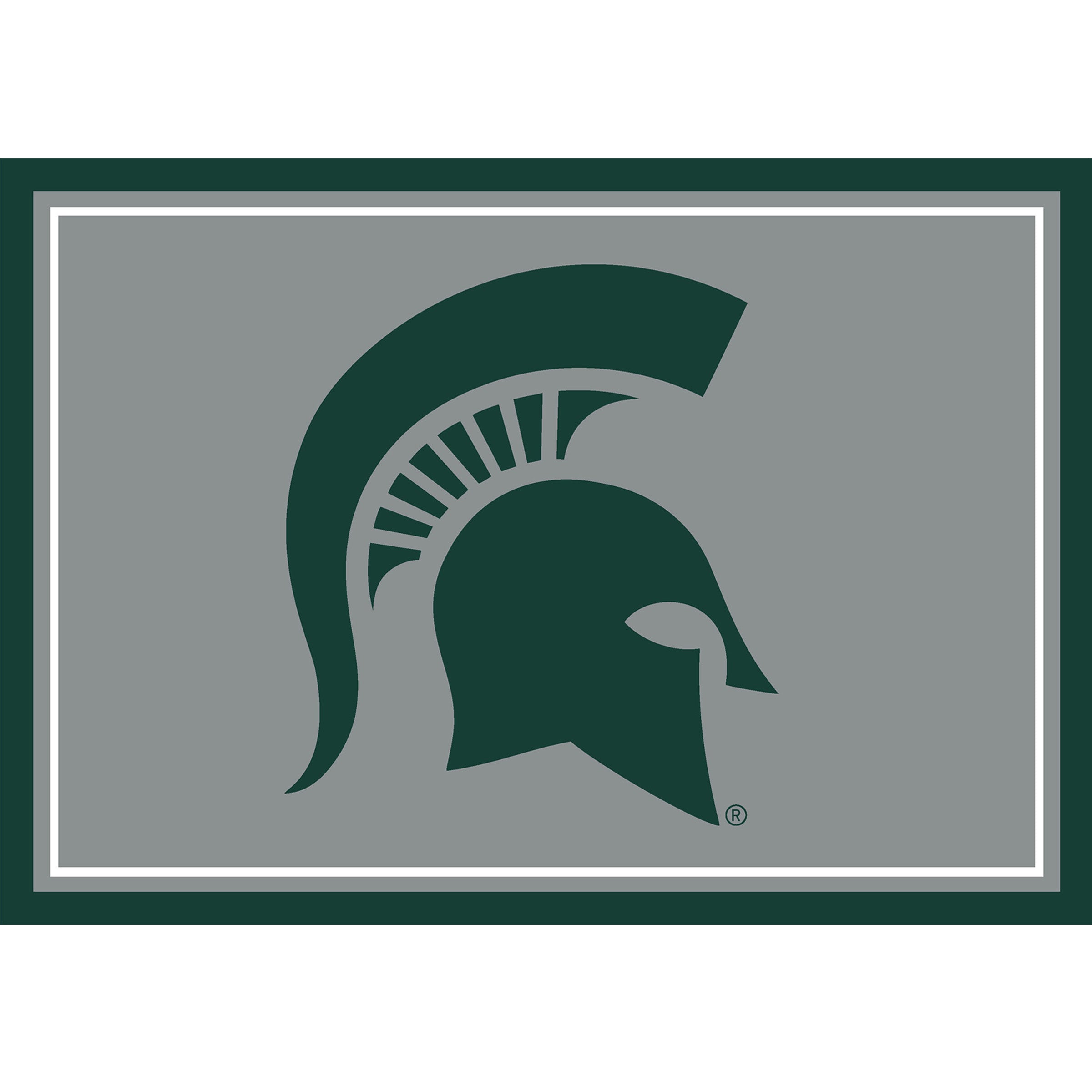 Michigan State 3x4  Area  Rug