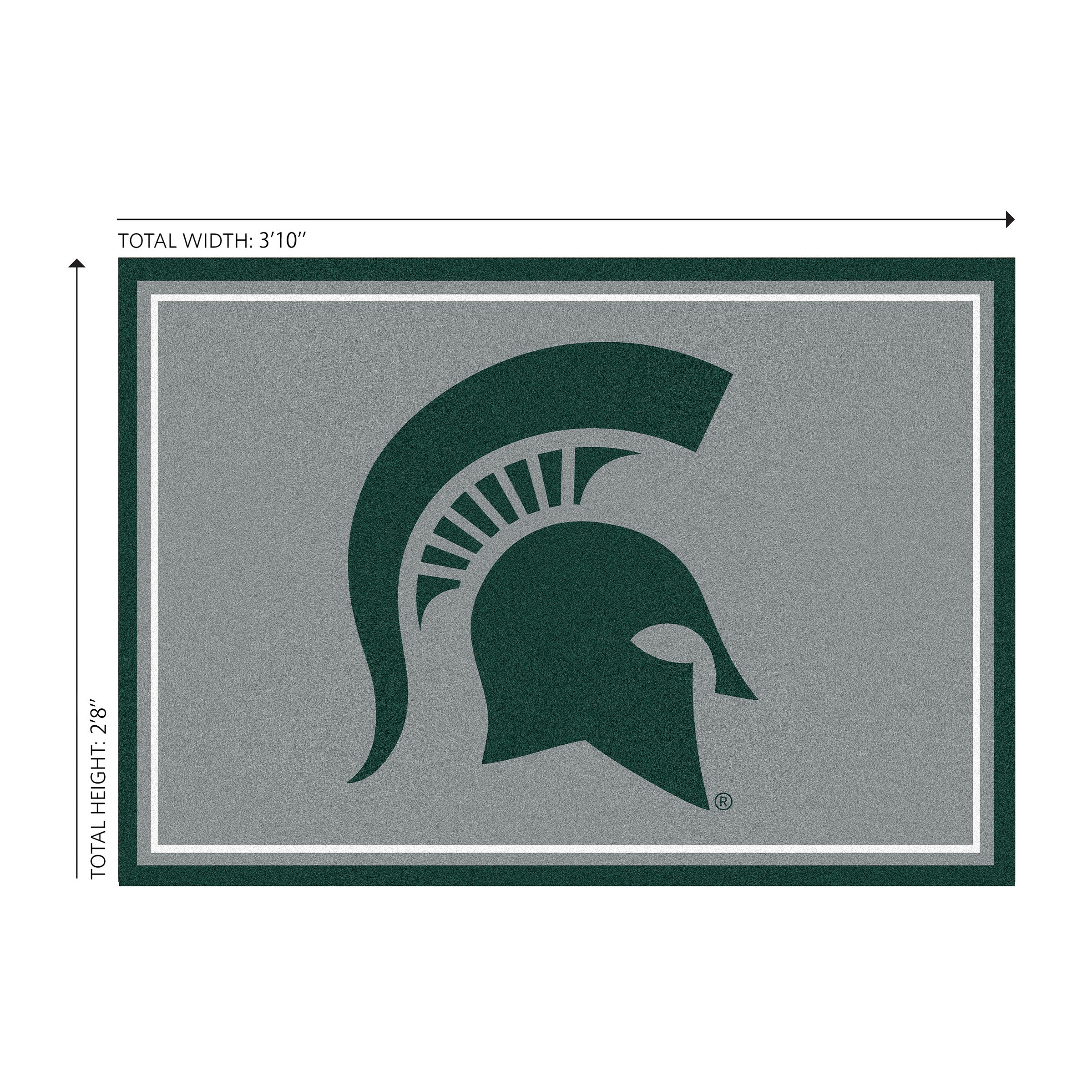 Michigan State 3x4  Area  Rug