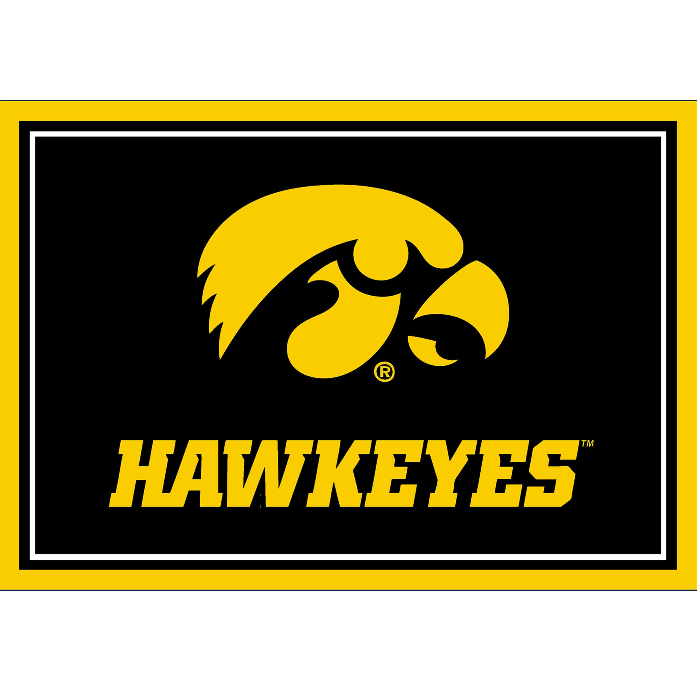 University Of Iowa 3x4  Area  Rug