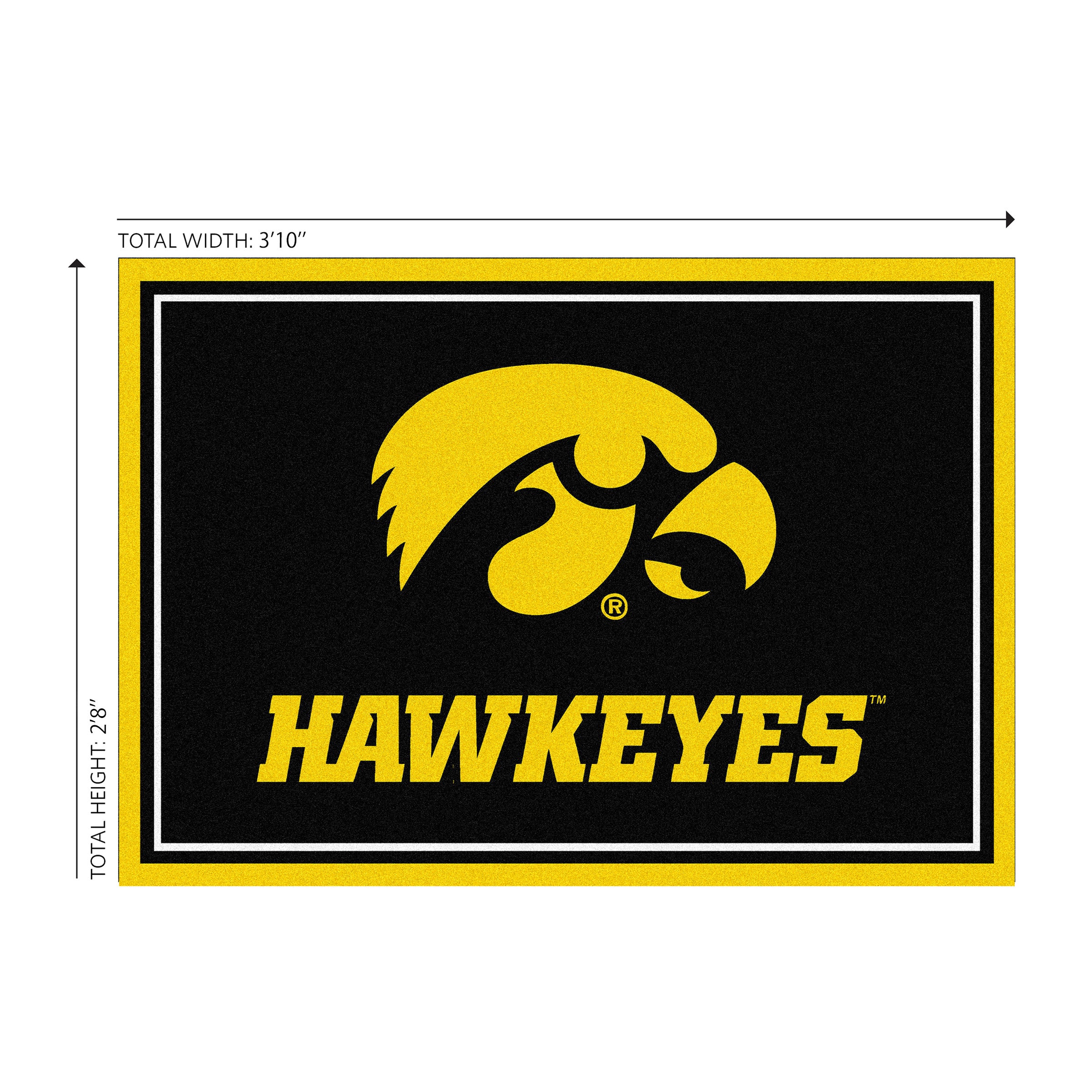 University Of Iowa 3x4  Area  Rug