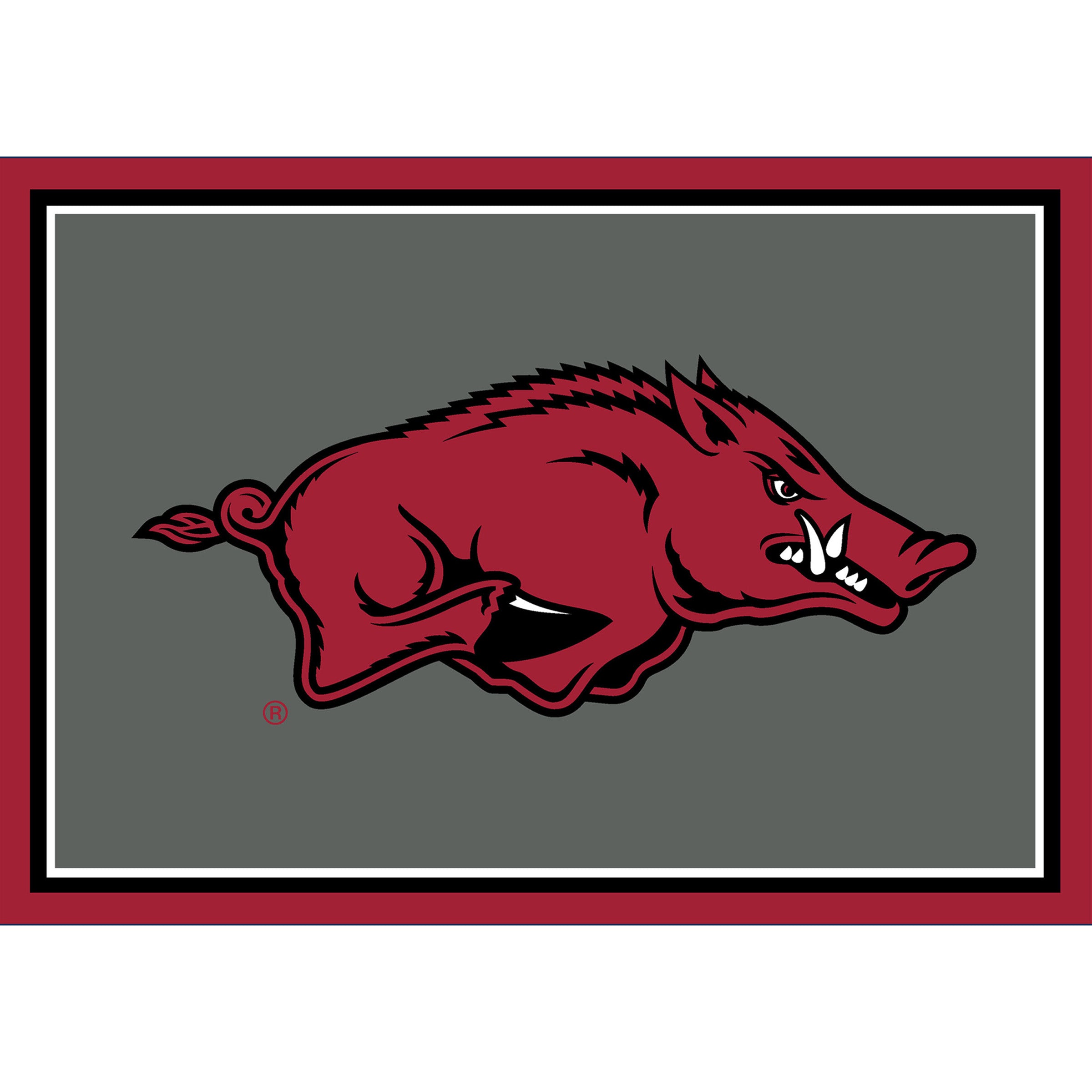 University Of Arkansas 3x4  Area  Rug