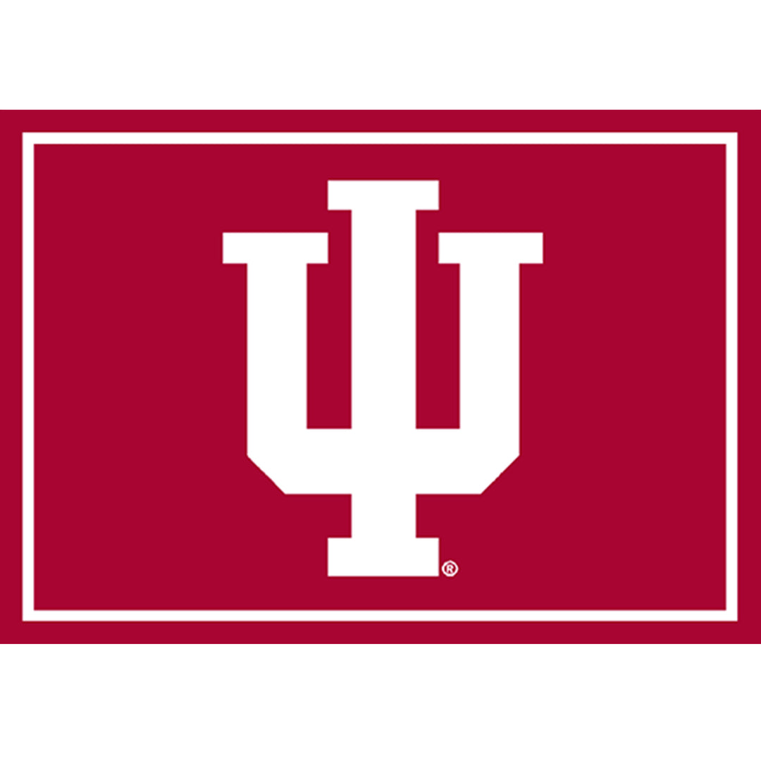 Indiana University 3x4  Area Rug