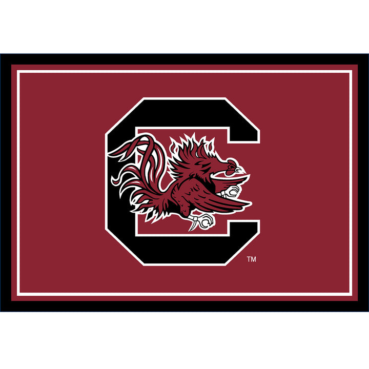 University Of South Carolina 3x4 Area Rug