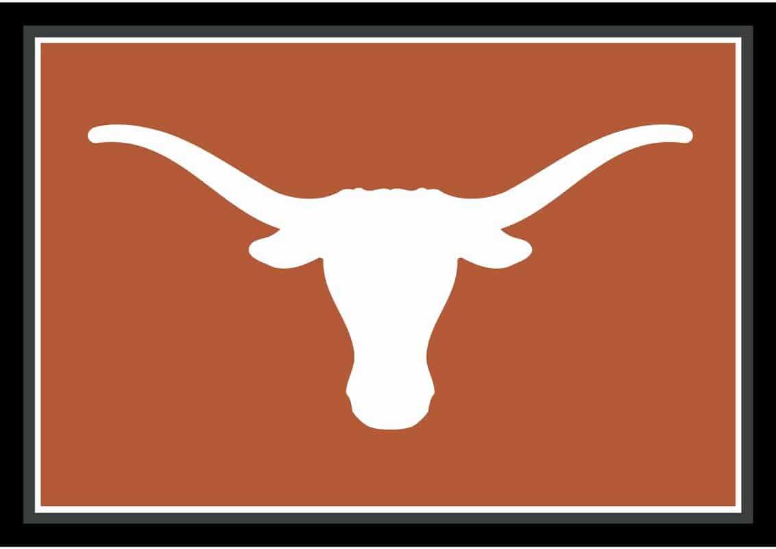 University of Texas 3x4  Area Rug