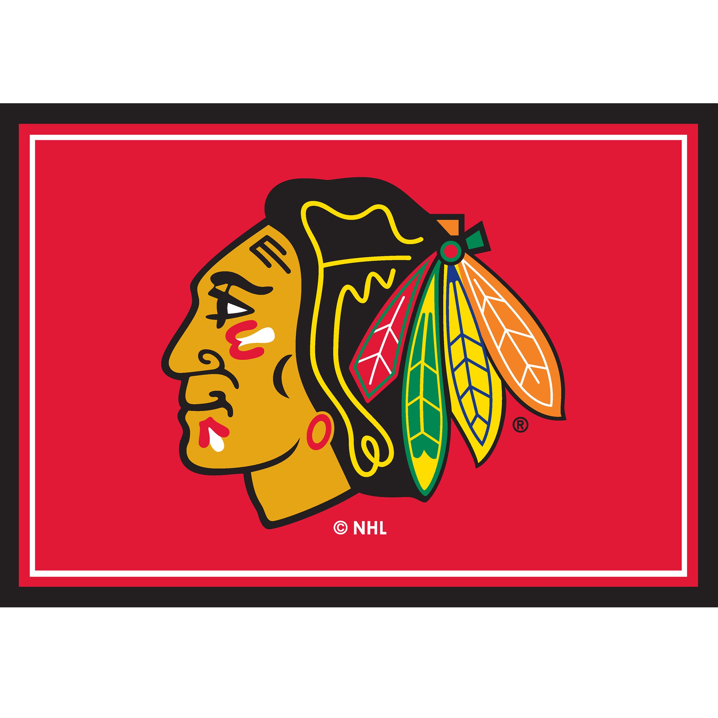 Chicago Blackhawks 3x4  Area  Rug