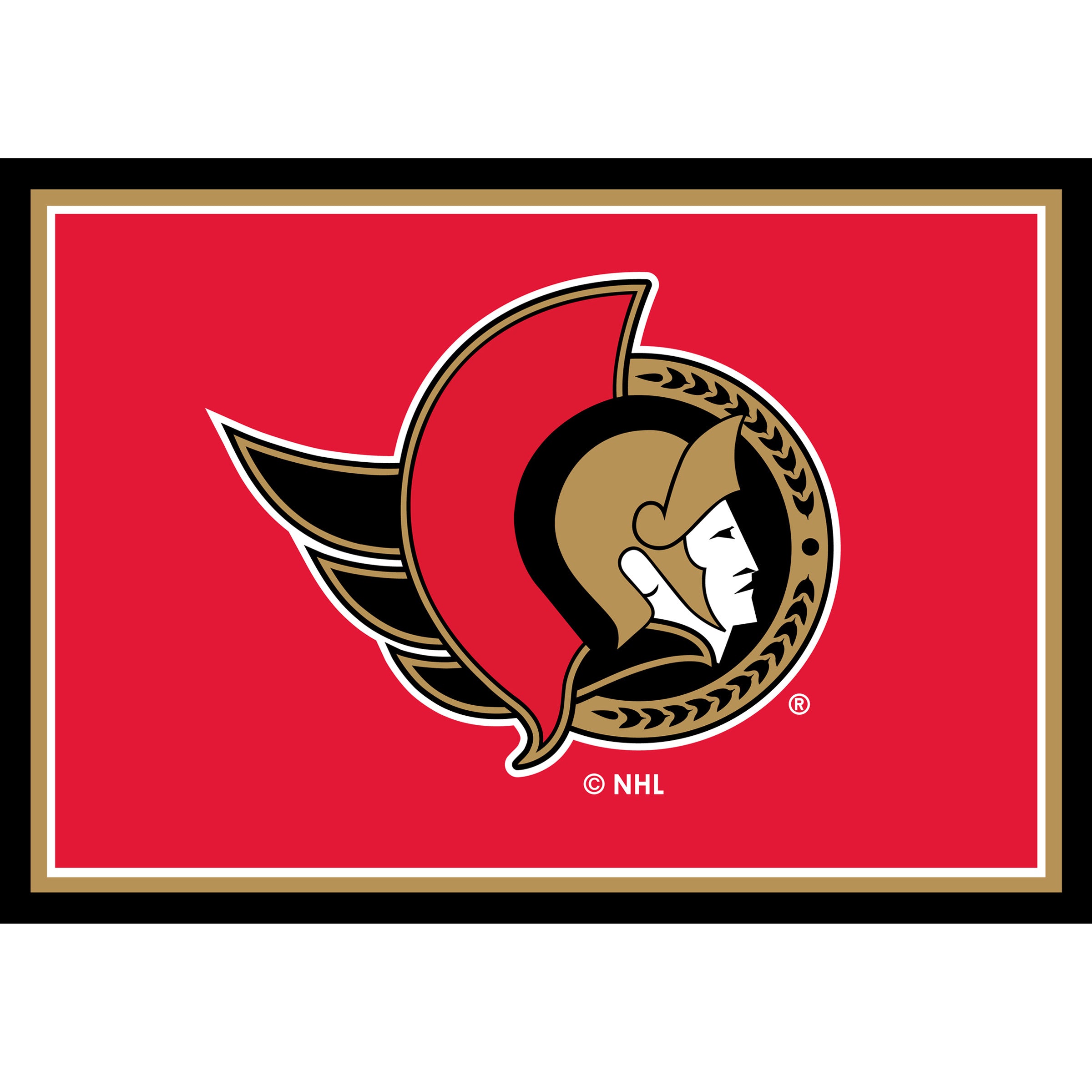 Ottawa Senators 3x4  Area  Rug