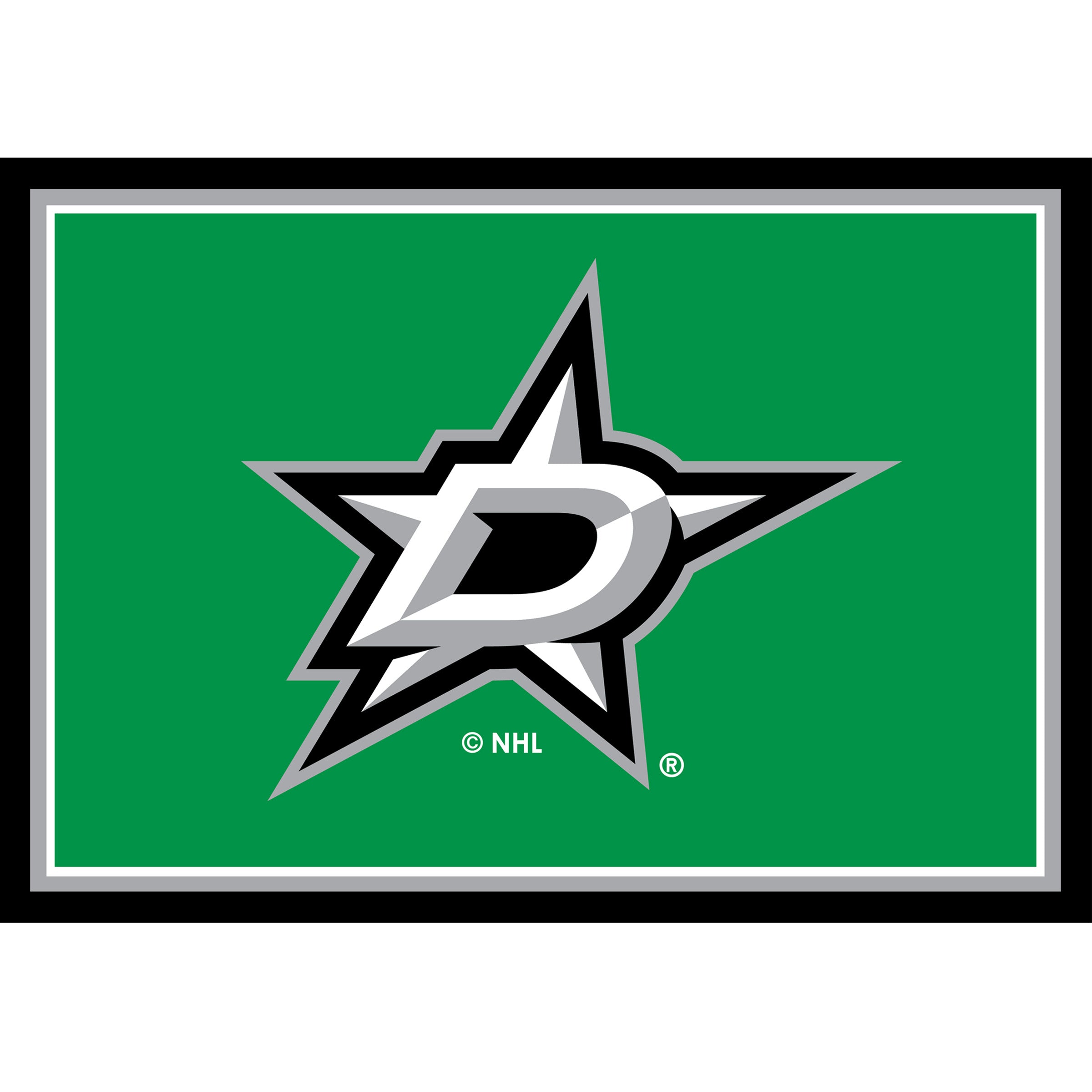 Dallas Stars 3x4  Area  Rug