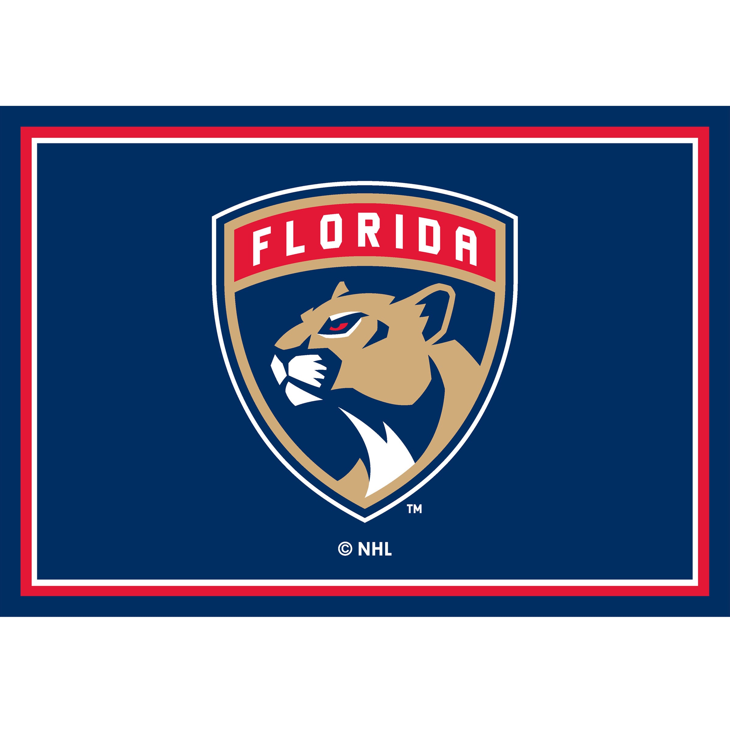 Florida Panthers 3x4  Area  Rug