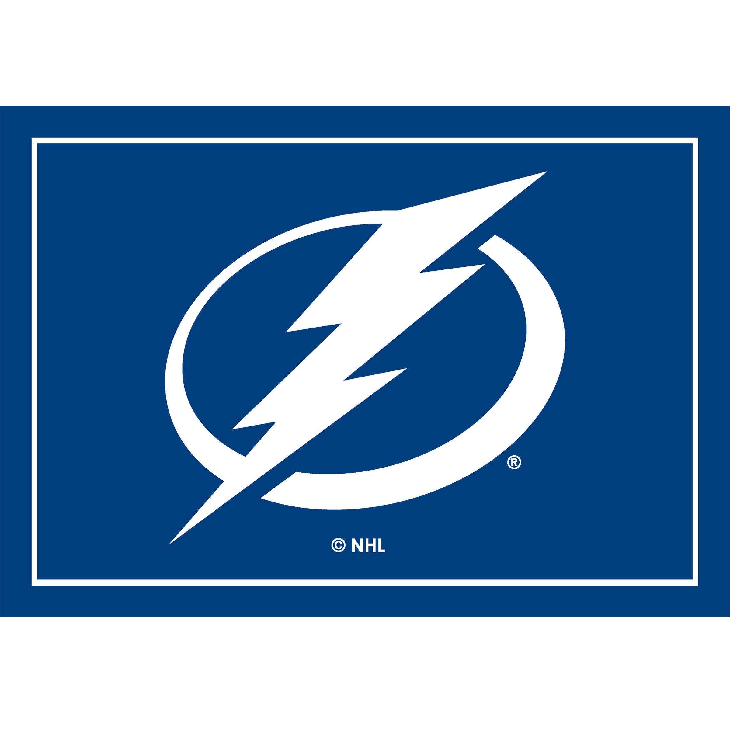 Tampa Bay Lightning 3x4  Area  Rug