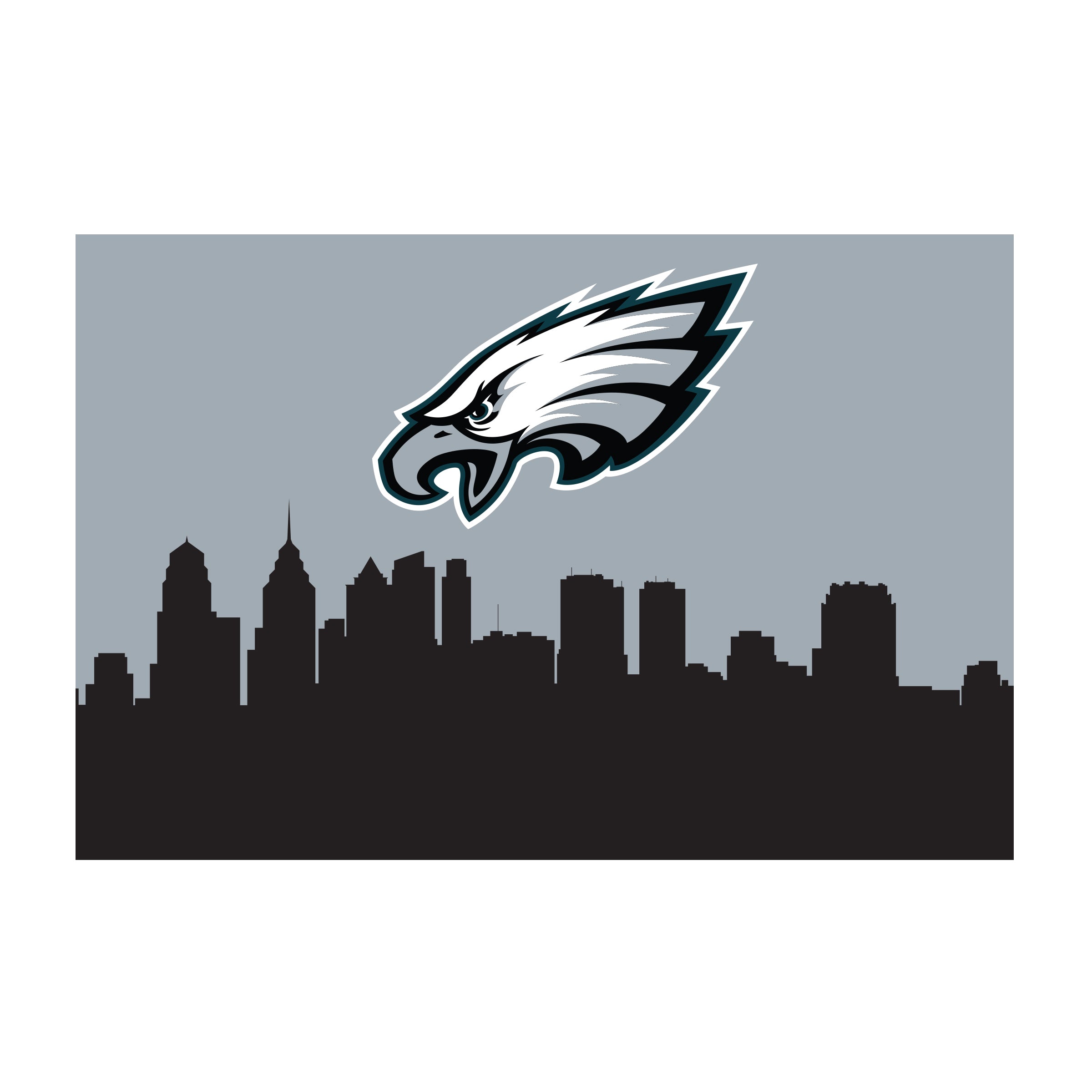 Philadelphia Eagles 2x3 Hometown Washable Area Rug