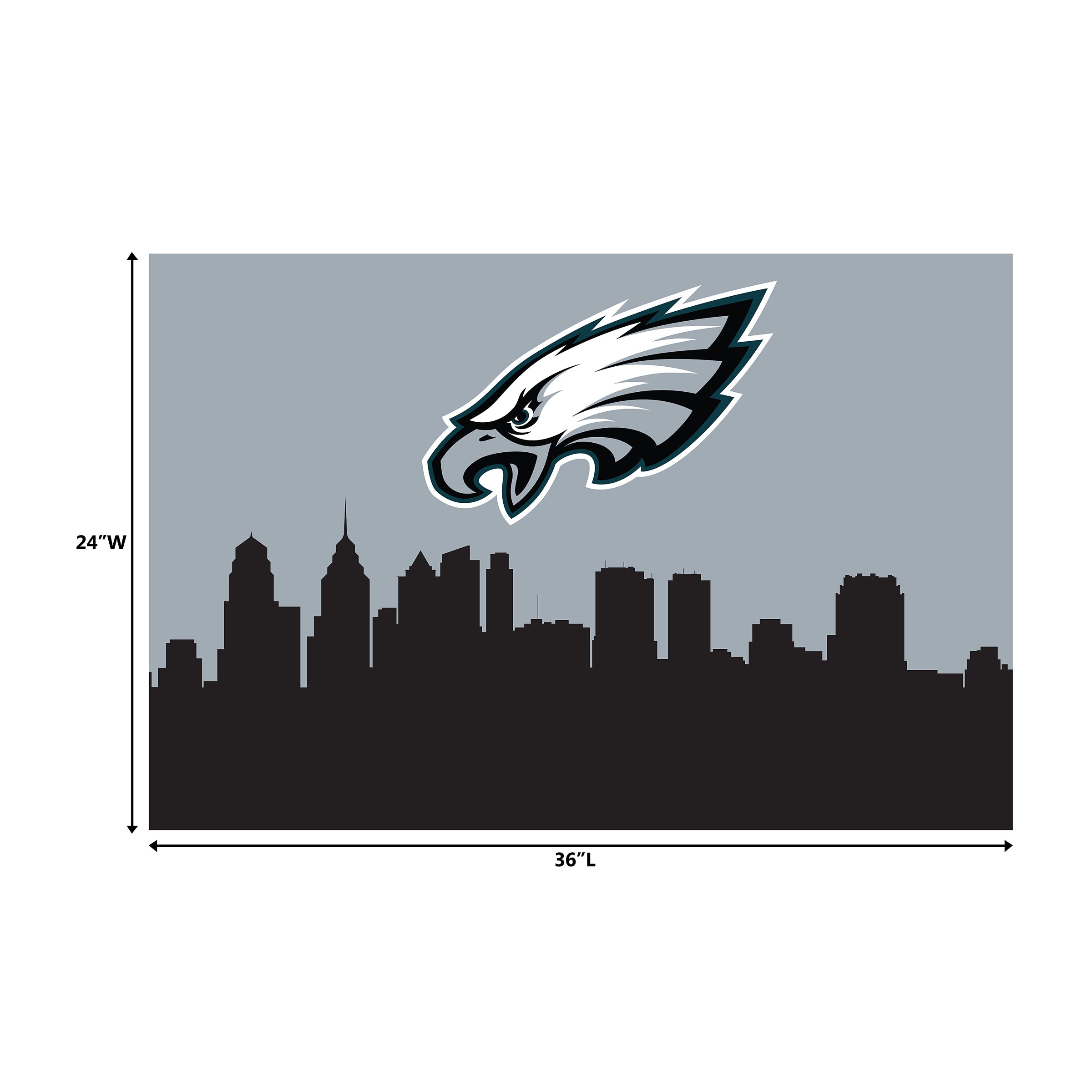 Philadelphia Eagles 2x3 Hometown Washable Area Rug