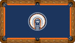 University of Illinois Custom Pool Table Felt Any Design 7ft 8ft 9ft Billiard Cloth