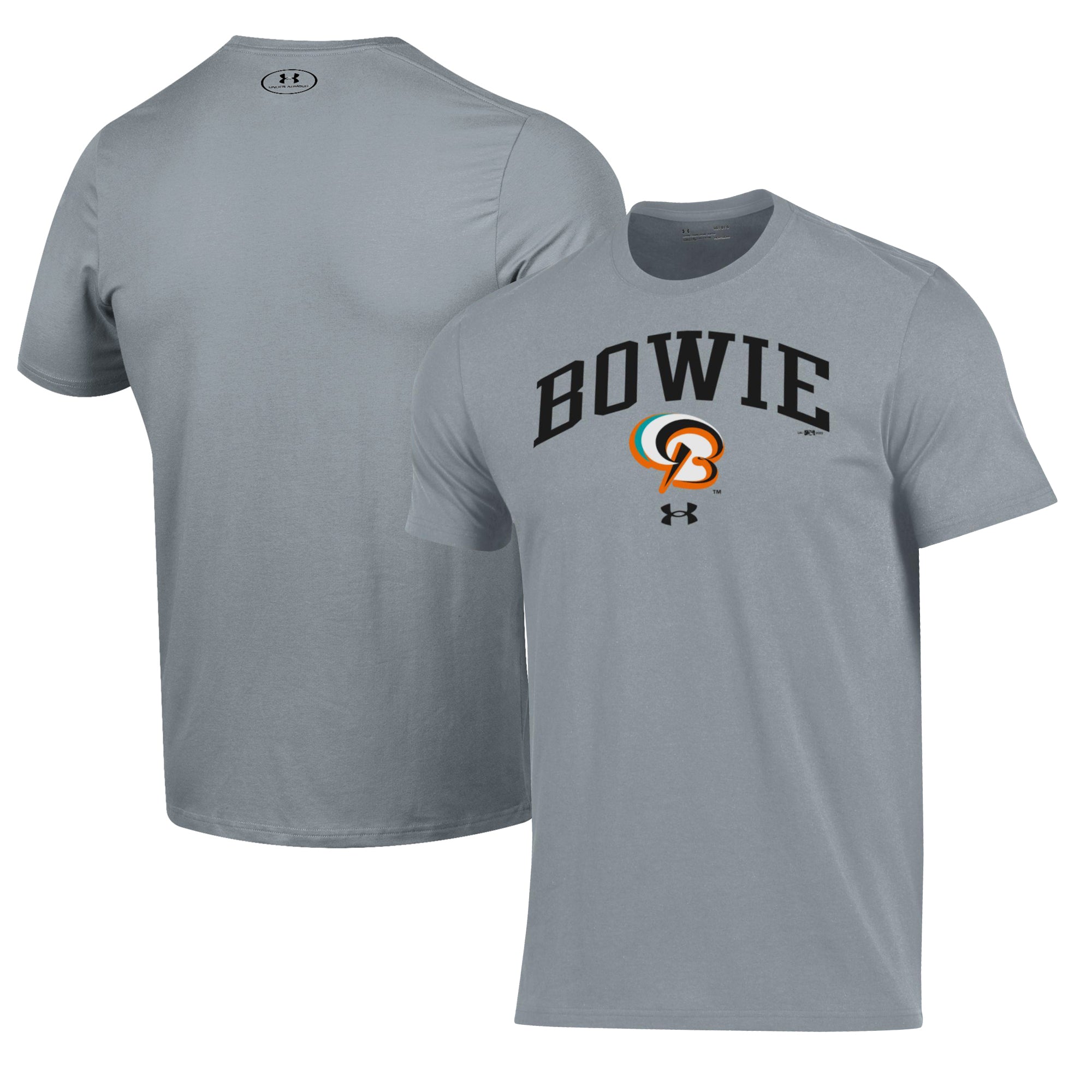 Men's Under Armour Gray Bowie Baysox Performance T-Shirt
