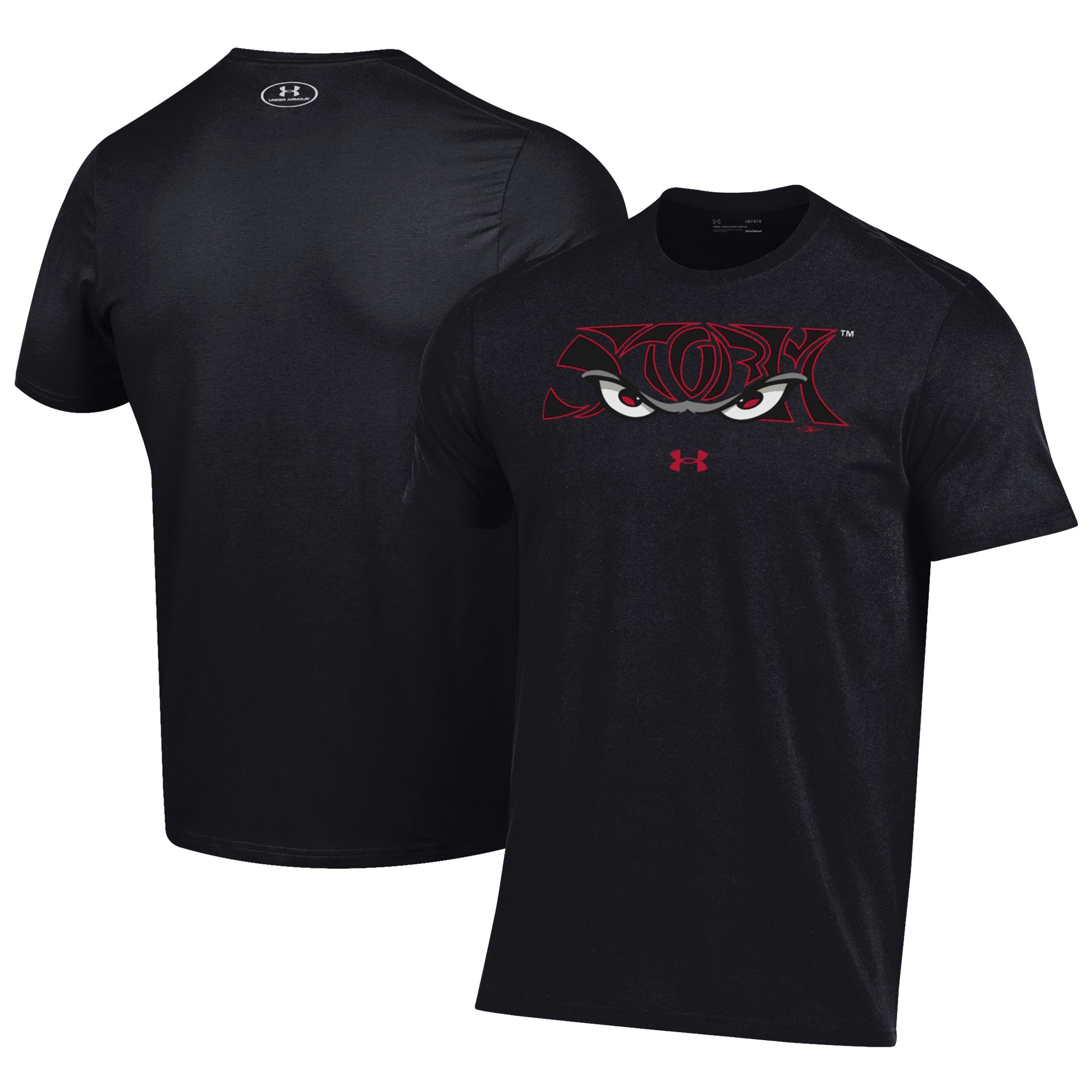 Men's Under Armour Black Lake Elsinore Storm Performance T-Shirt