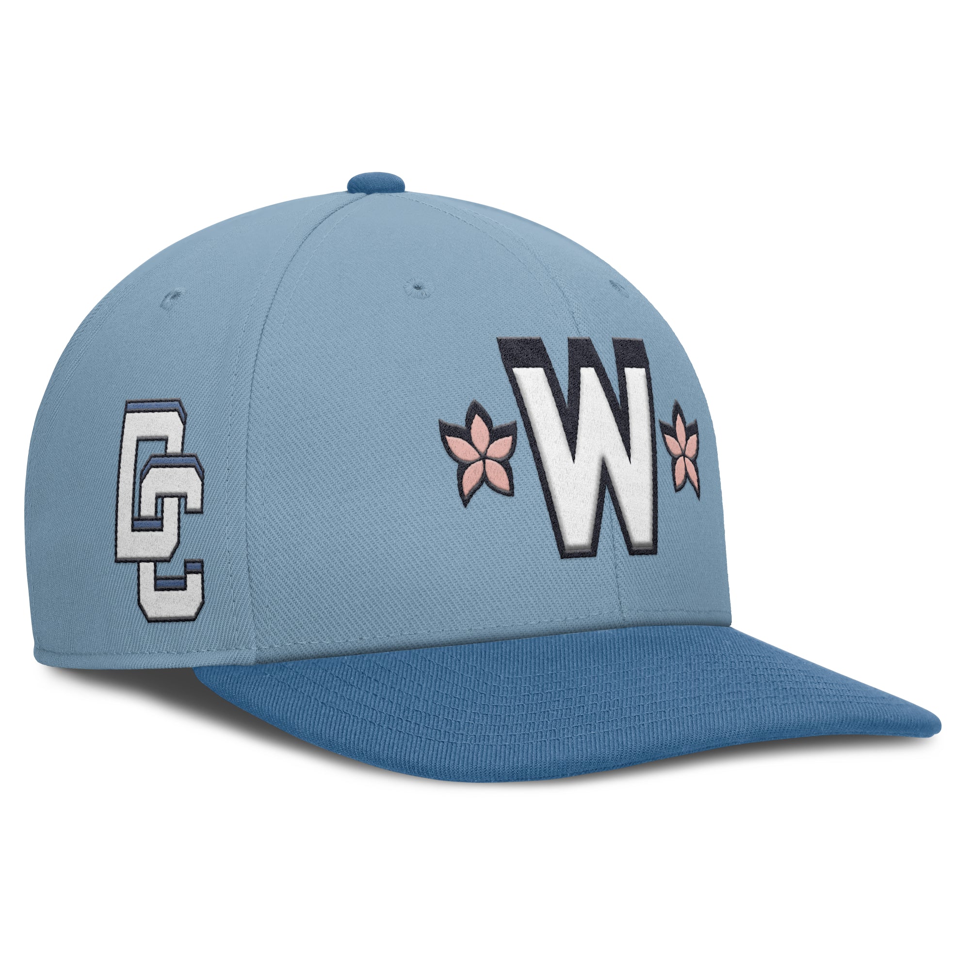 Men's Nike  Light Blue/Blue Washington Nationals 2025 City Connect Pro Performance Snapback Hat