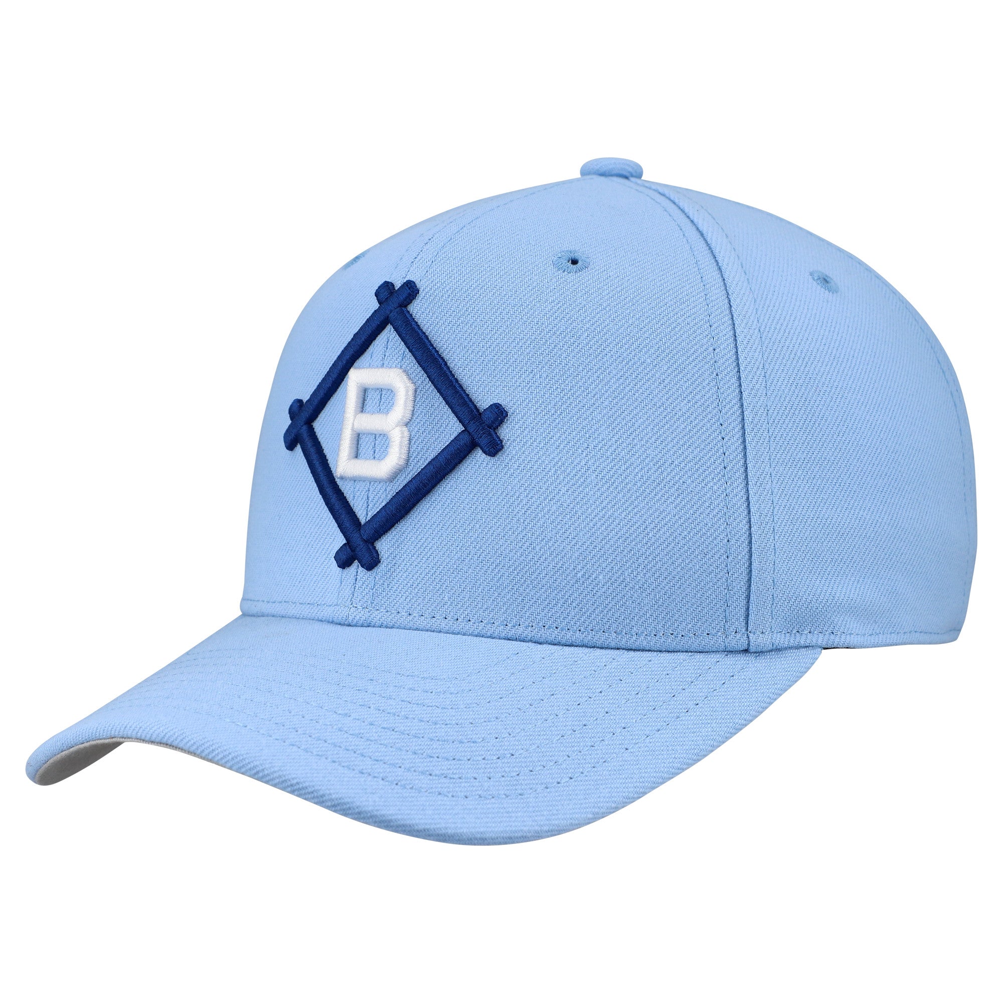 Unisex Mitchell & Ness  Blue Brooklyn Dodgers Basic Coop Pro Adjustable Hat