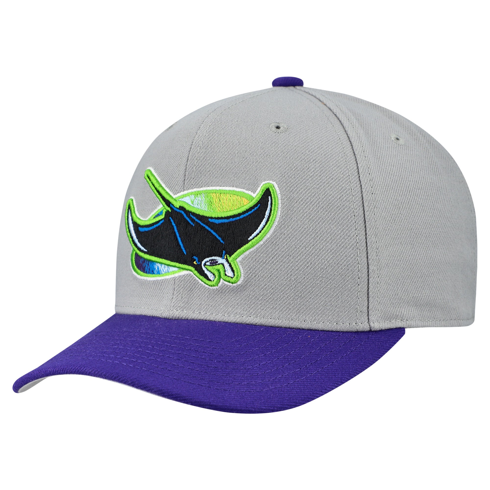Unisex Mitchell & Ness  Gray Tampa Bay Rays Basic Coop Pro Adjustable Hat